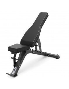 Chaise romaine professionnelle station de musculation capacité 400 kg